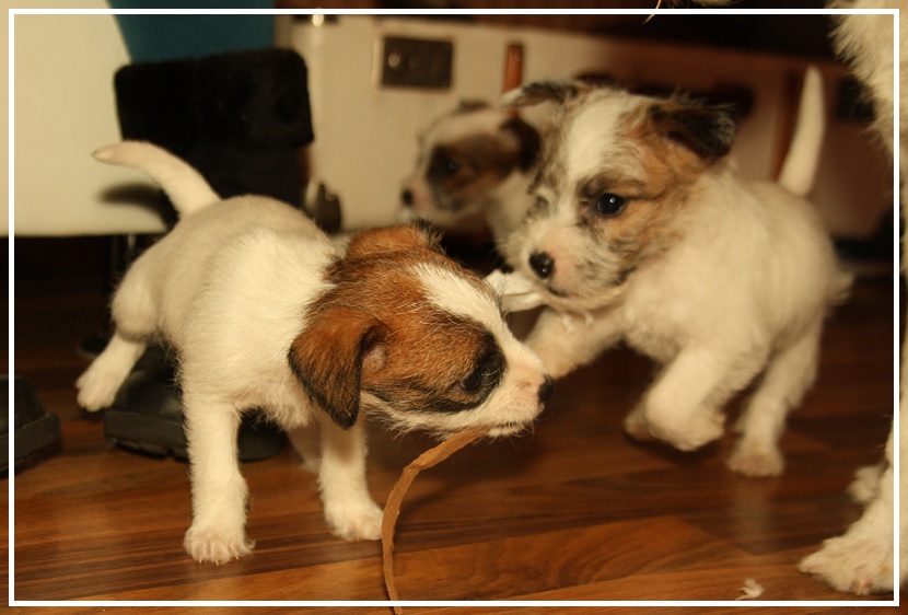 Hilde und Niko