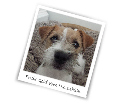 Frida Gold vom Hasenbuehl