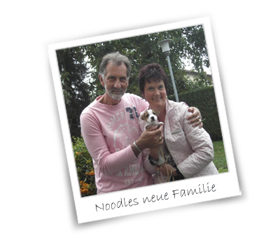 NoodlesFamilie