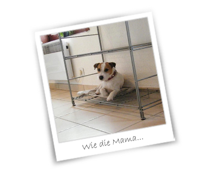 Wie die Mama